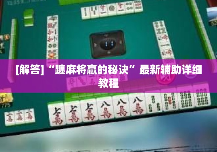 [解答]“躔麻将赢的秘诀”最新辅助详细教程