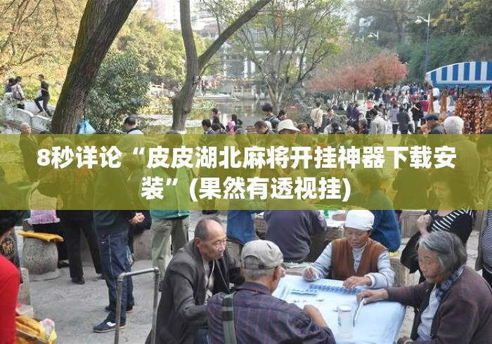 8秒详论“皮皮湖北麻将开挂神器下载安装”(果然有透视挂)