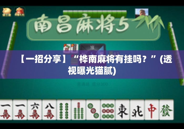 【一招分享】“桦南麻将有挂吗？”(透视曝光猫腻)