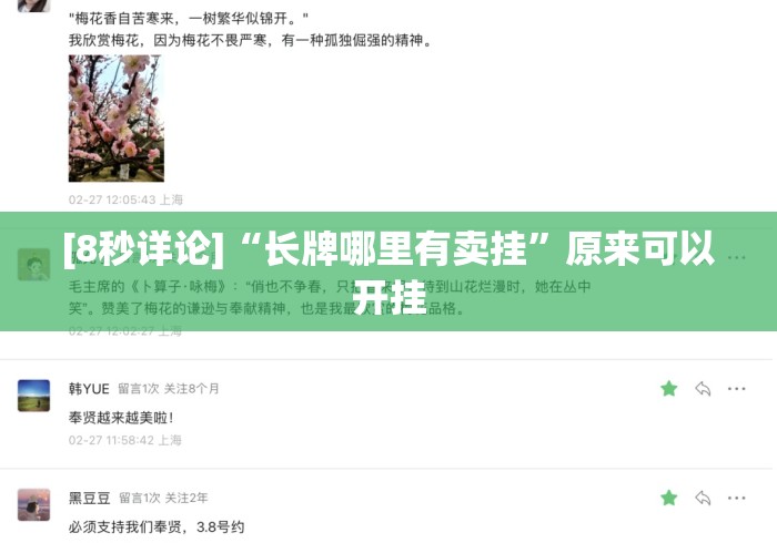 [8秒详论]“长牌哪里有卖挂”原来可以开挂