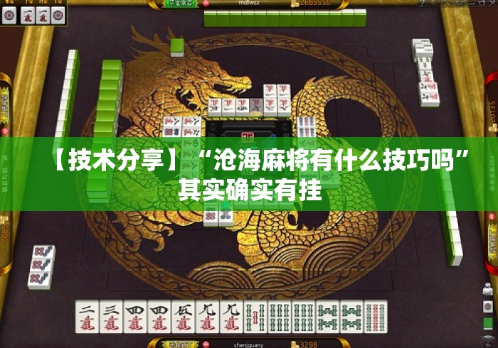 【技术分享】“沧海麻将有什么技巧吗”其实确实有挂