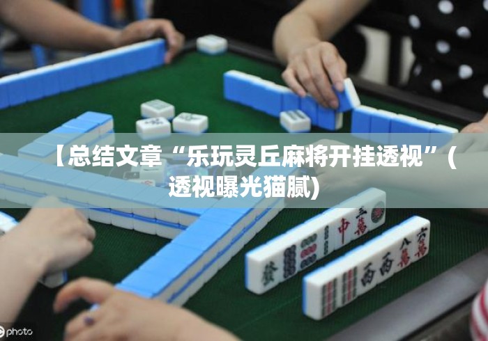 【总结文章“乐玩灵丘麻将开挂透视”(透视曝光猫腻)