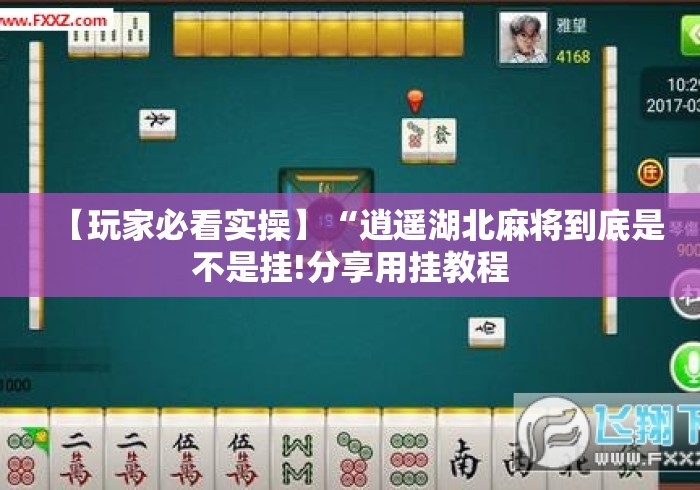 【玩家必看实操】“逍遥湖北麻将到底是不是挂!分享用挂教程