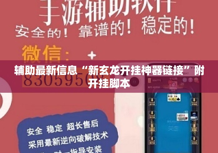 辅助最新信息“新玄龙开挂神器链接”附开挂脚本
