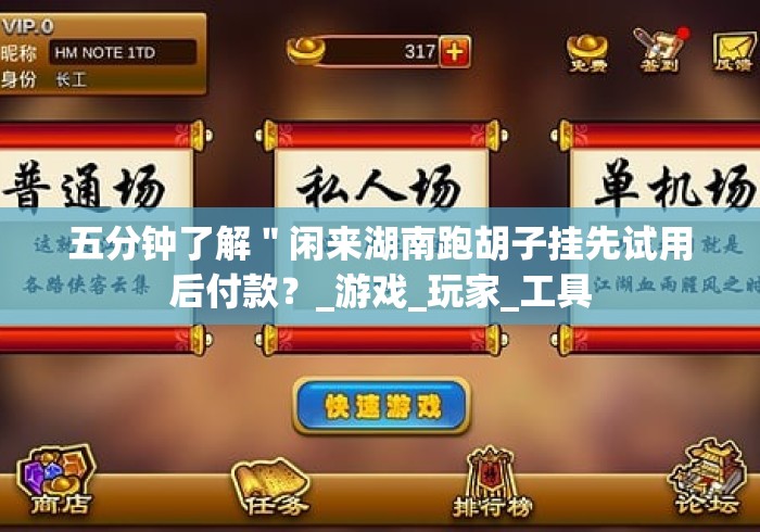 五分钟了解＂闲来湖南跑胡子挂先试用后付款？_游戏_玩家_工具