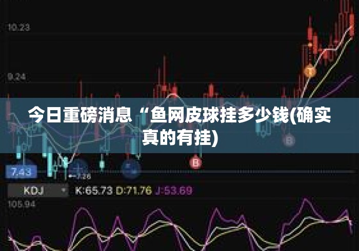 今日重磅消息“鱼网皮球挂多少钱(确实真的有挂)