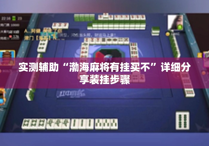 实测辅助“渤海麻将有挂买不”详细分享装挂步骤