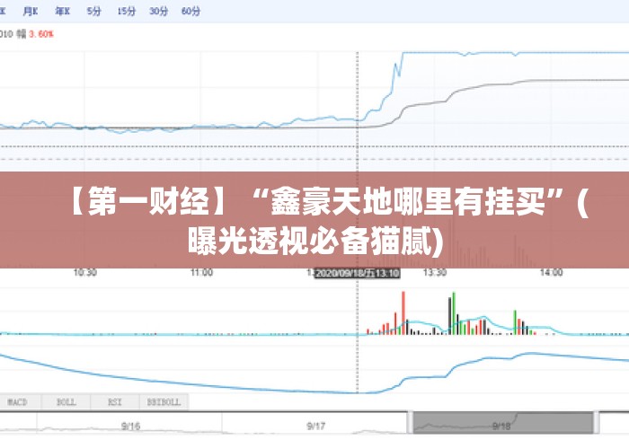 【第一财经】“鑫豪天地哪里有挂买”(曝光透视必备猫腻)