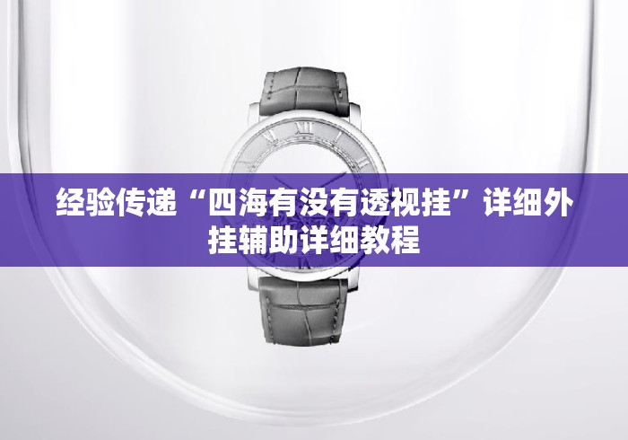 经验传递“四海有没有透视挂”详细外挂辅助详细教程