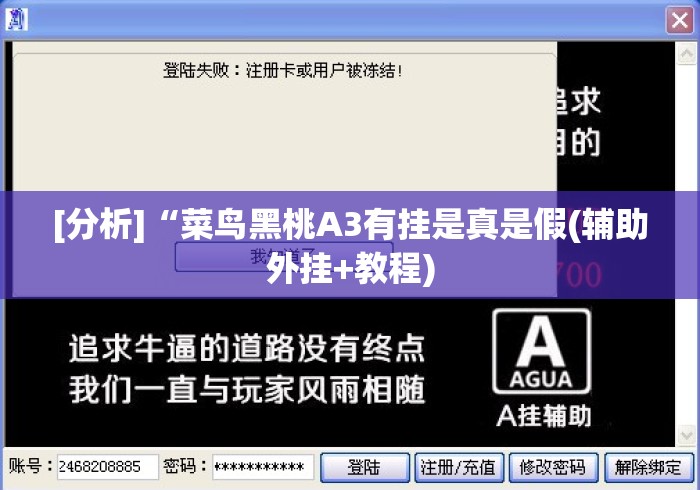 [分析]“菜鸟黑桃A3有挂是真是假(辅助外挂+教程)