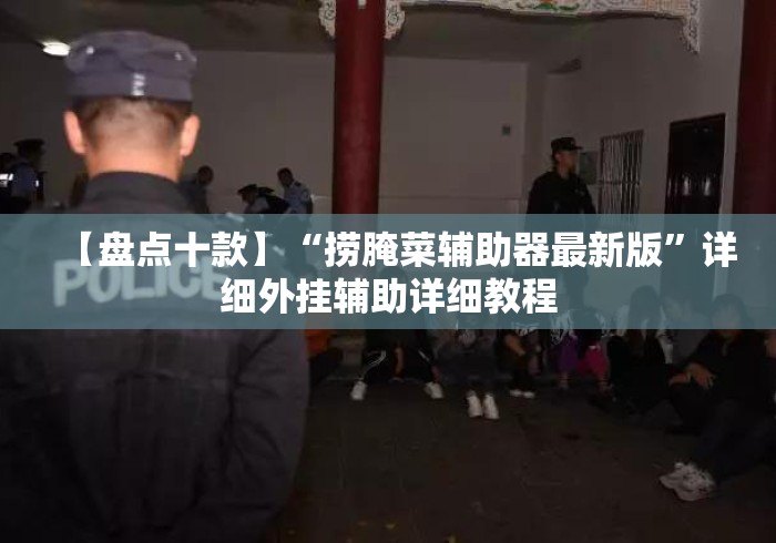 【盘点十款】“捞腌菜辅助器最新版”详细外挂辅助详细教程