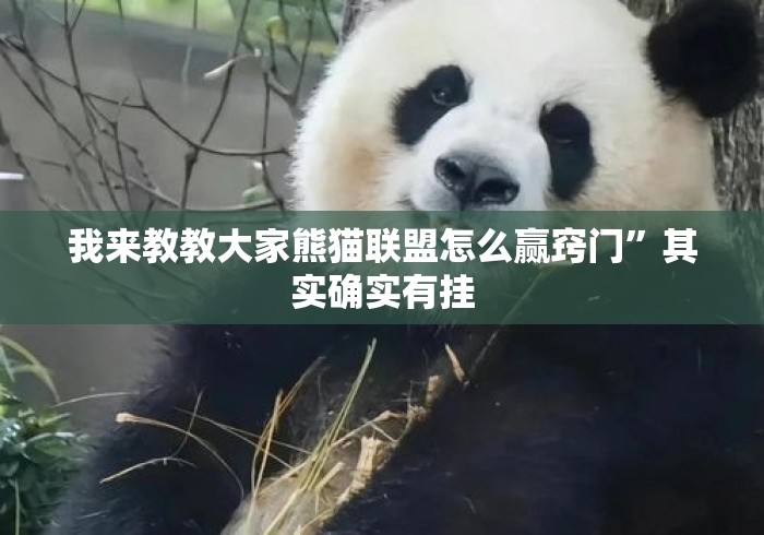 我来教教大家熊猫联盟怎么赢窍门”其实确实有挂