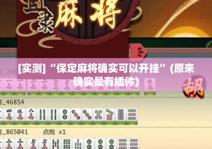 [实测]“保定麻将确实可以开挂”(原来确实是有插件)