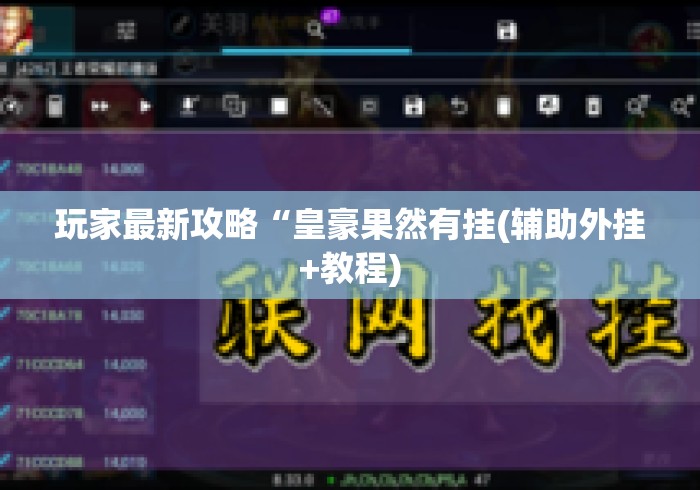 玩家最新攻略“皇豪果然有挂(辅助外挂+教程)