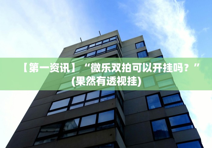 【第一资讯】“微乐双拍可以开挂吗？”(果然有透视挂)