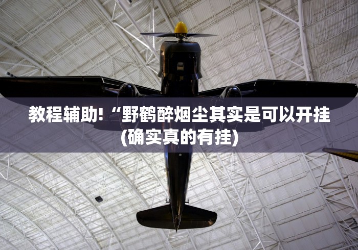 教程辅助!“野鹤醉烟尘其实是可以开挂(确实真的有挂)