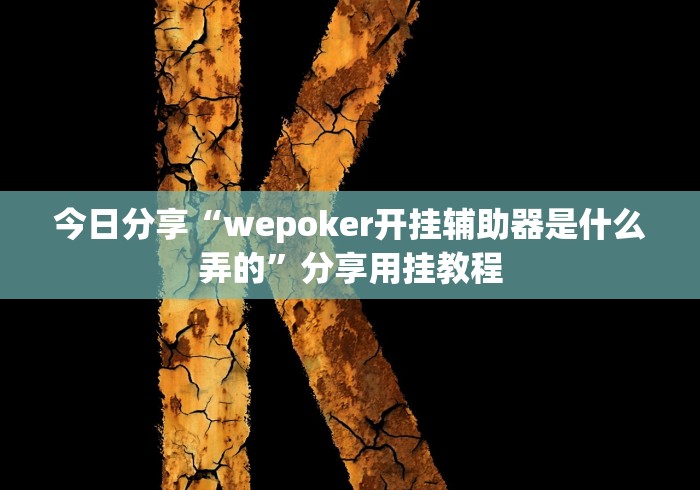 今日分享“wepoker开挂辅助器是什么弄的”分享用挂教程