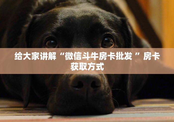 给大家讲解“微信斗牛房卡批发 ”房卡获取方式