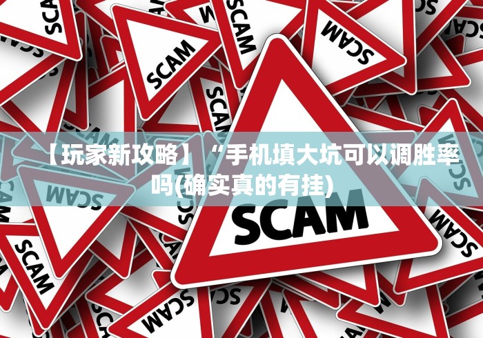 【玩家新攻略】“手机填大坑可以调胜率吗(确实真的有挂)