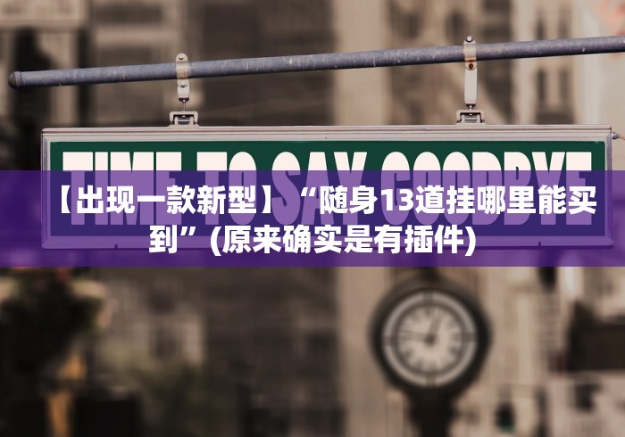 【出现一款新型】“随身13道挂哪里能买到”(原来确实是有插件)