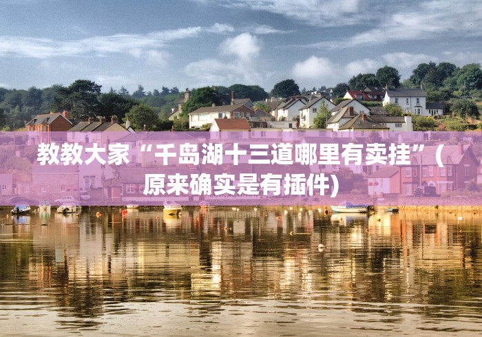 教教大家“千岛湖十三道哪里有卖挂”(原来确实是有插件) 教教大家“千岛湖十三道哪里有卖挂”(原来确实是有插件)